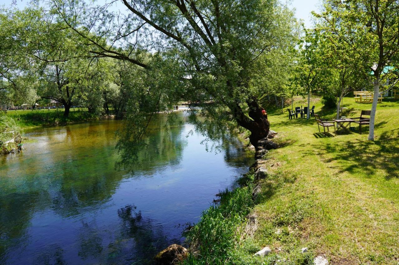 Apartments Manitovac M Nikšić Exteriör bild